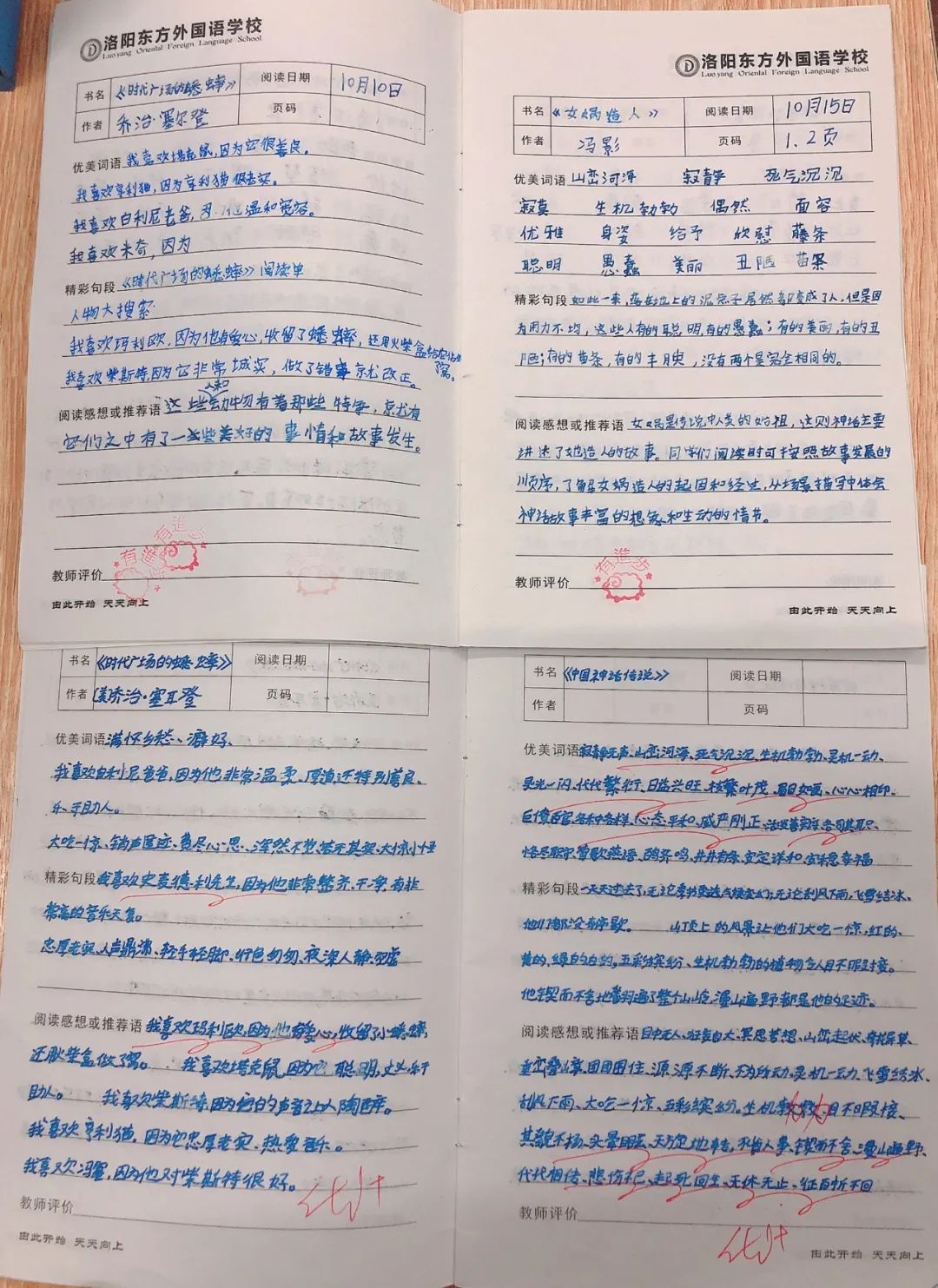 師生共讀一本書——洛陽東外小學(xué)部“滿天星”閱讀計(jì)劃