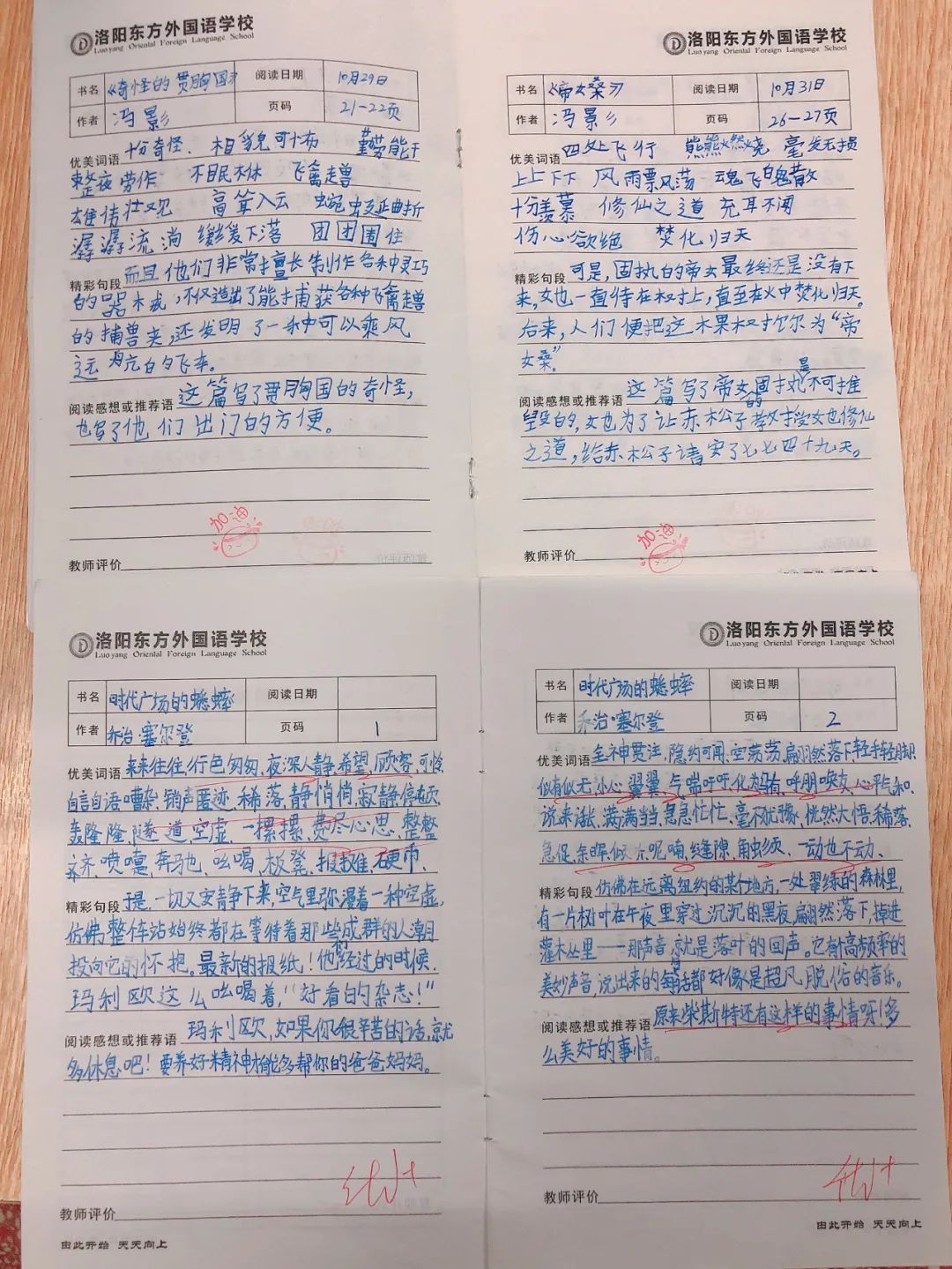 師生共讀一本書——洛陽東外小學(xué)部“滿天星”閱讀計(jì)劃