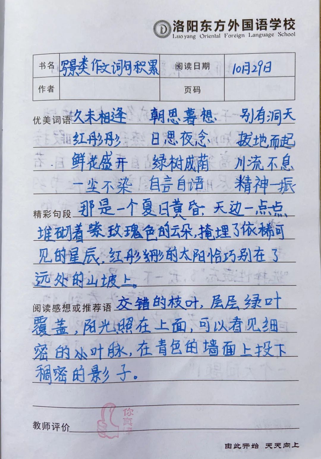 師生共讀一本書——洛陽東外小學(xué)部“滿天星”閱讀計(jì)劃