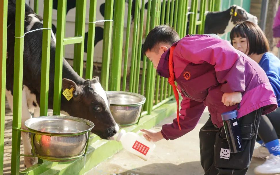 不負(fù)春光，快樂(lè)成長(zhǎng)——洛陽(yáng)東外小學(xué)部三年級(jí)研學(xué)旅行